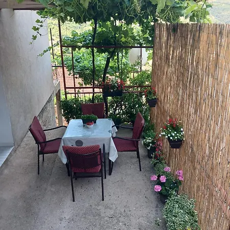 Nedeljka טרביניה