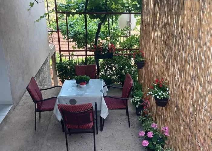 Nedeljka تريبينيي