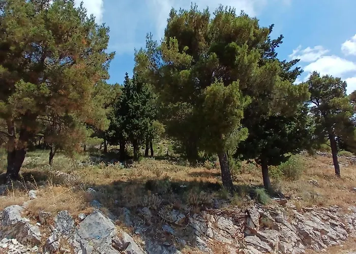 شقة Nedeljka تريبينيي